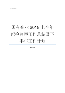 国有企业2018上半年纪检监察工作总结及下半年工作计划