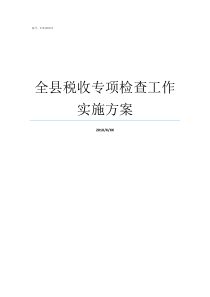 全县税收专项检查工作实施方案2009年税收专项检查补充国税