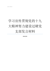 学习宣传贯彻党的十九大精神努力建设过硬党支部发言材料