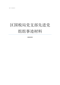 区国税局党支部先进党组组事迹材料党支部先进材料