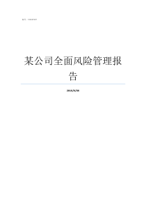 某公司全面风险管理报告如何做好全面风险管理