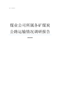 煤业公司所属各矿煤炭公路运输情况调研报告正通煤业翟所国