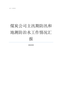 煤炭公司主汛期防汛和地测防治水工作情况汇报