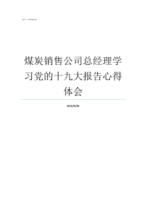 煤炭销售公司总经理学习党的十九大报告心得体会