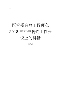 区管委会总工程师在2018年打击传销工作会议上的讲话总经济师和总工程师