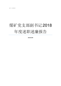 煤矿党支部副书记2018年度述职述廉报告党支部副书记如何产生