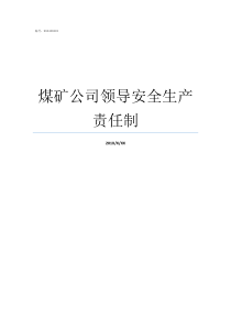 煤矿公司领导安全生产责任制煤矿从业人员安全生产的权利