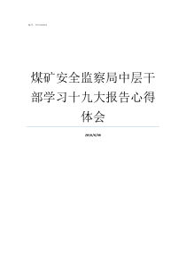 煤矿安全监察局中层干部学习十九大报告心得体会煤矿安全监察局怎么样