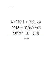 煤矿掘进工区党支部2018年工作总结和2019年工作打算煤矿掘进工安全吗