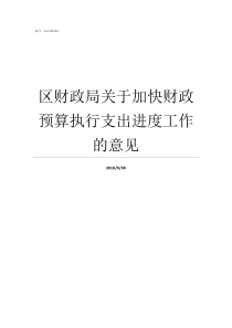 区财政局关于加快财政预算执行支出进度工作的意见财政局