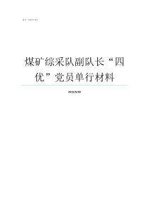 煤矿综采队副队长四优党员单行材料