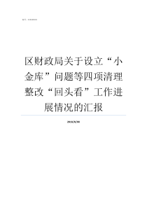 区财政局关于设立小金库问题等四项清理整改回头看工作进展情况的汇报民政局是小财政局