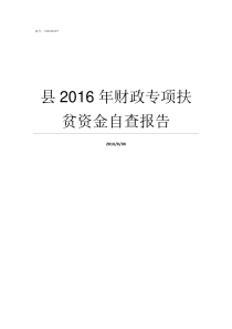 县2016年财政专项扶贫资金自查报告非财政专项资金