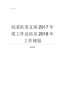 综采队党支部2017年度工作总结及2018年工作规划2019党支部会议记录