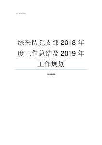 综采队党支部2018年度工作总结及2019年工作规划2019党支部会议记录