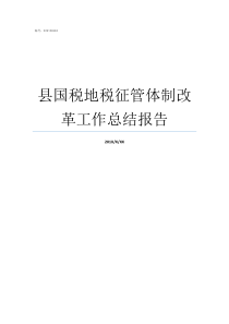 县国税地税征管体制改革工作总结报告