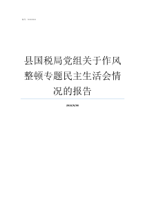 县国税局党组关于作风整顿专题民主生活会情况的报告