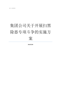 集团公司关于开展扫黑除恶专项斗争的实施方案扫黑除恶应向公司