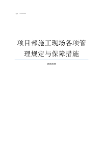 项目部施工现场各项管理规定与保障措施项目经理在施工现场的要求