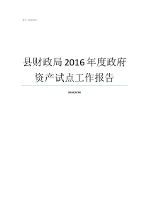 县财政局2016年度政府资产试点工作报告财政局资产管理股