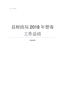 县财政局2018年禁毒工作总结县财政局