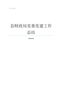 县财政局党委党建工作总结财政局党建工作怎么开展