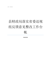 县财政局落实省委巡视组反馈意见整改工作台帐