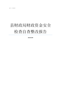 县财政局财政资金安全检查自查整改报告