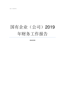 国有企业公司2019年财务工作报告国有独资公司和国有企业