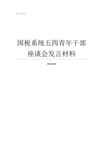 国税系统五四青年干部座谈会发言材料青年干部培养