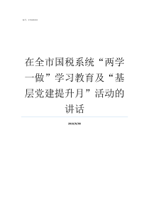 在全市国税系统两学一做学习教育及基层党建提升月活动的讲话