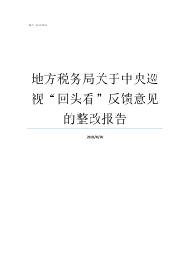 地方税务局关于中央巡视回头看反馈意见的整改报告街道回头看反馈意见