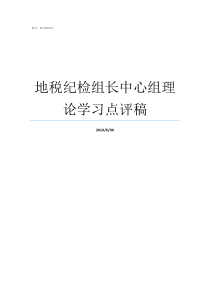 地税纪检组长中心组理论学习点评稿