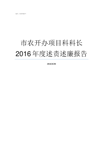 市农开办项目科科长2016年度述责述廉报告