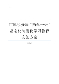 市地税分局两学一做常态化制度化学习教育实施方案两学一做