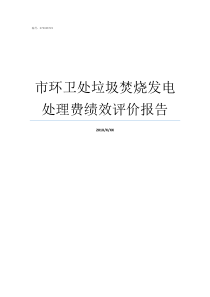 市环卫处垃圾焚烧发电处理费绩效评价报告天源市垃圾焚烧发电