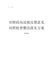 市财政局巡视反馈意见对照检查整改落实方案对财政局的意见和建议