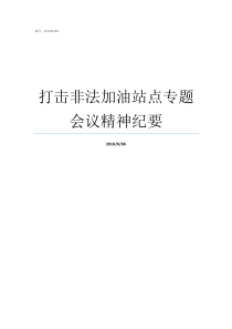 打击非法加油站点专题会议精神纪要加油