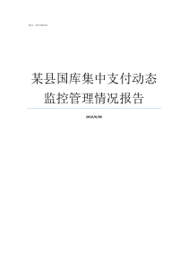 某县国库集中支付动态监控管理情况报告国库集中支付管理实施细则