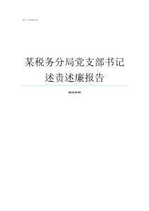 某税务分局党支部书记述责述廉报告税务局党支部书记