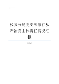 税务分局党支部履行从严治党主体责任情况汇报