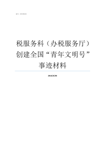 税服务科办税服务厅创建全国青年文明号事迹材料上海税务网上办税服务厅税