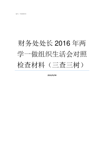 财务处处长2016年两学一做组织生活会对照检查材料三查三树财务处处长相当于什么