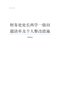 财务处处长两学一做问题清单及个人整改措施