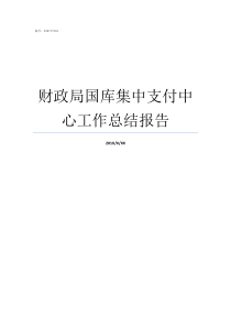 财政局国库集中支付中心工作总结报告国库集中支付管理实施细则