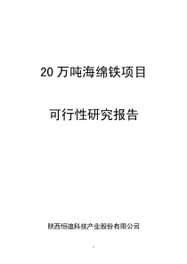 20万吨海绵铁可行性研究报告