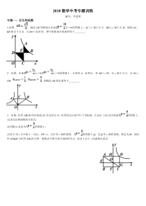 2018数学中考专题训练