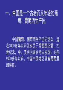 中国酿酒葡萄生产现状及发展展望共32页文档