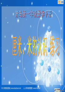 青岛版一年下厘米米的认识练习课件复习课程