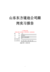 山东东方道迩公司跟岗实习报告